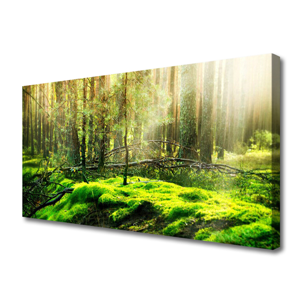Tablou pe panza canvas Moss Natural Pădurea Verde