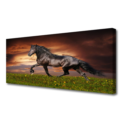Tablou pe panza canvas Black Horse Meadow Animale Negru Verde Roșu