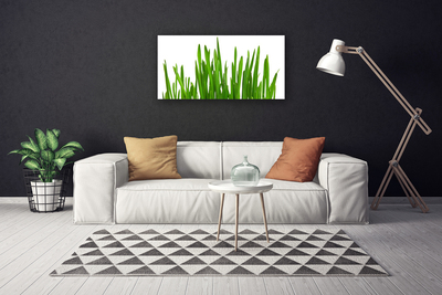 Tablou pe panza canvas Iarbă Floral Verde Alb
