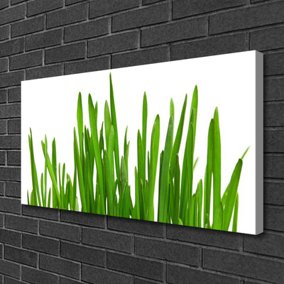 Tablou pe panza canvas Iarbă Floral Verde Alb