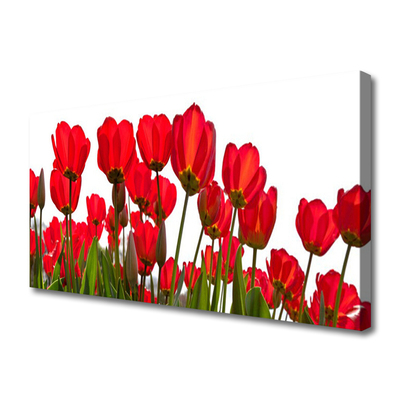 Tablou pe panza canvas Flori Floral Roșu Verde Alb