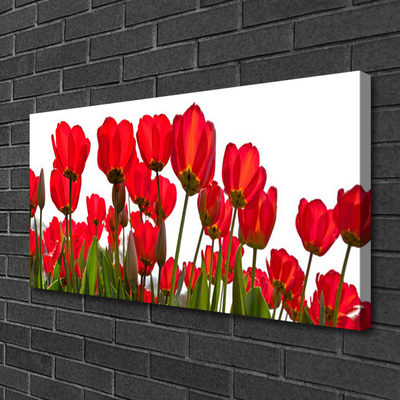 Tablou pe panza canvas Flori Floral Roșu Verde Alb