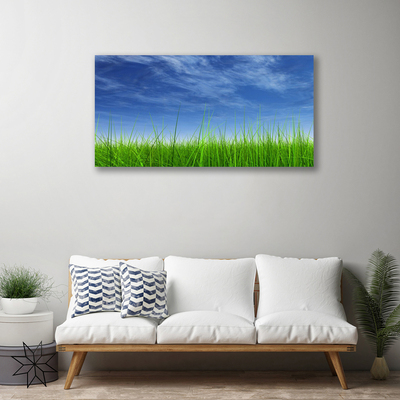 Tablou pe panza canvas Sky Grass Nature Albastru Verde