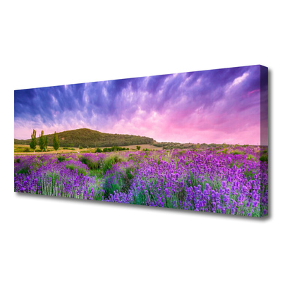 Tablou pe panza canvas Meadow Munții Flori Natura Verde Violet Albastru Roz