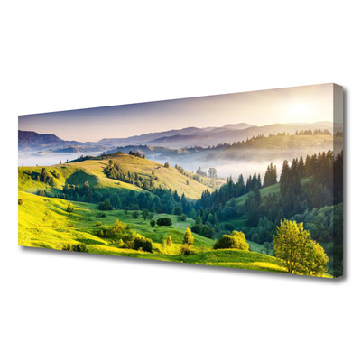Tablou pe panza canvas Mountain Câmp Ceață Natura Verde Alb