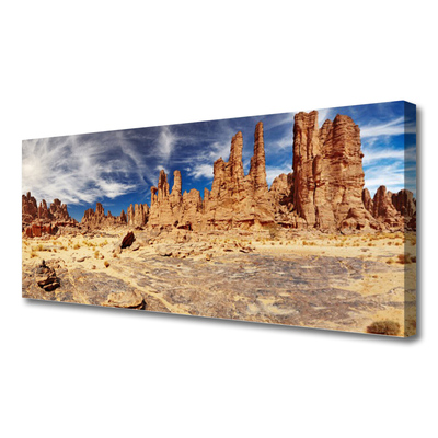 Tablou pe panza canvas Desert Peisaj Maro Alb Albastru