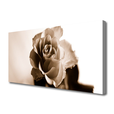Tablou pe panza canvas Rose Floral Sepia