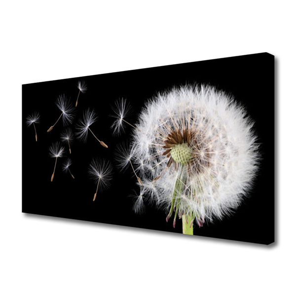 Tablou pe panza canvas Păpădie Floral Alb Negru