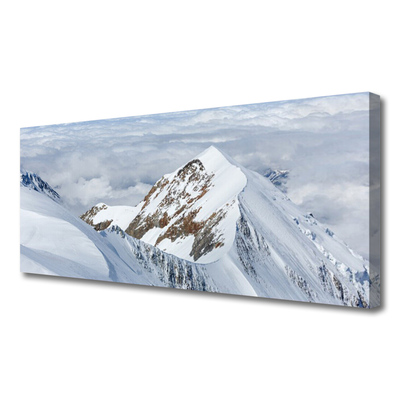 Tablou pe panza canvas Munții Peisaj Gri Alb
