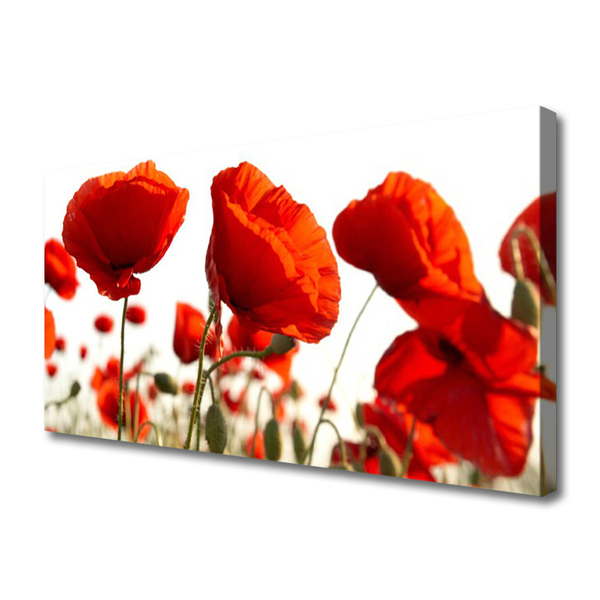 Tablou pe panza canvas Lalele Floral Red White