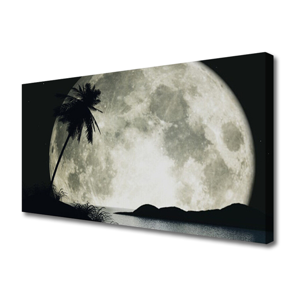 Tablou pe panza canvas Noapte Luna Palm Peisaj Negru Gri Alb