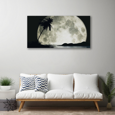 Tablou pe panza canvas Noapte Luna Palm Peisaj Negru Gri Alb