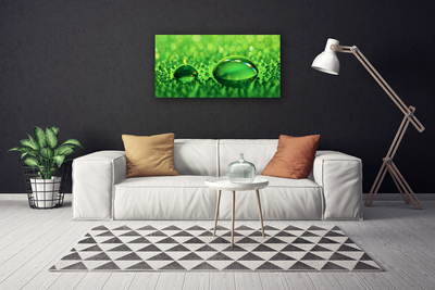 Tablou pe panza canvas Waterdrop Art Green