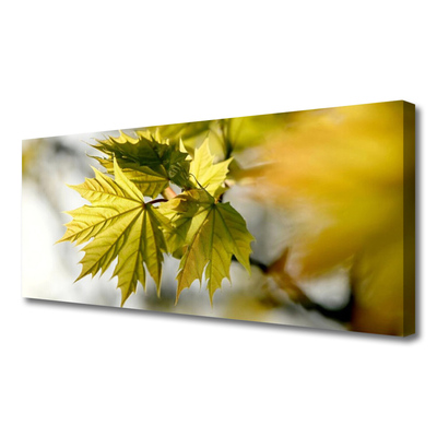 Tablou pe panza canvas Frunze verde florale