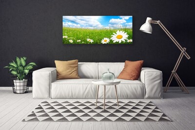 Tablou pe panza canvas Daisy Iarbă Natura Alb Galben Verde