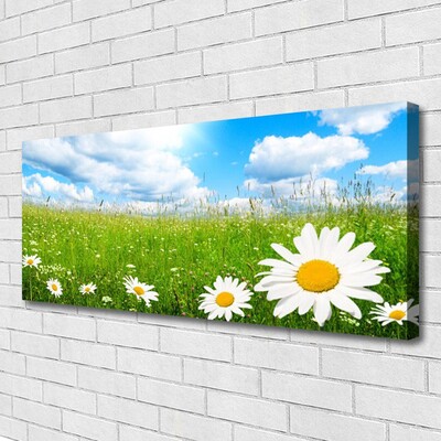 Tablou pe panza canvas Daisy Iarbă Natura Alb Galben Verde