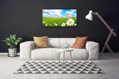 Tablou pe panza canvas Daisy Iarbă Natura Alb Galben Verde