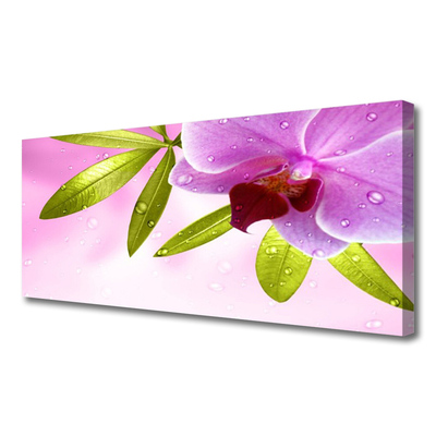 Tablou pe panza canvas Frunze florale flori roz verde