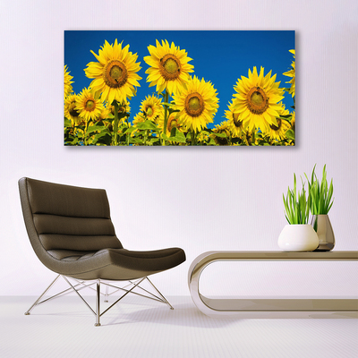 Tablou pe panza canvas Floarea soarelui Floral Galben Verde