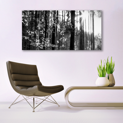 Tablou pe panza canvas Forest Nature Gray