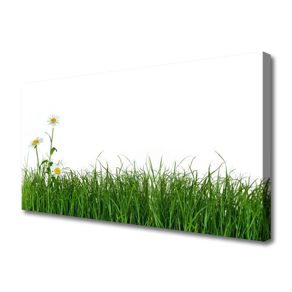 Tablou pe panza canvas Weed Natura verde