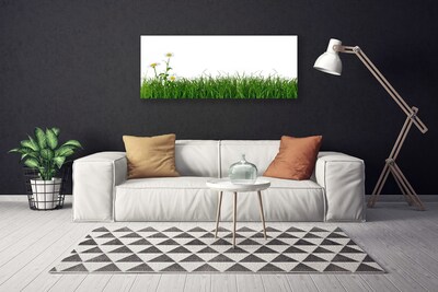 Tablou pe panza canvas Weed Natura verde