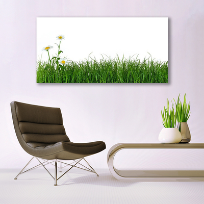 Tablou pe panza canvas Weed Natura verde