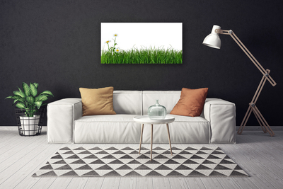 Tablou pe panza canvas Weed Natura verde