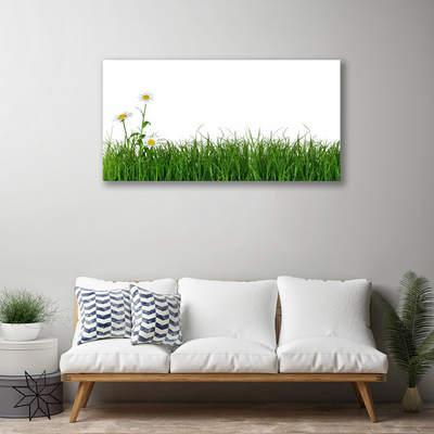 Tablou pe panza canvas Weed Natura verde