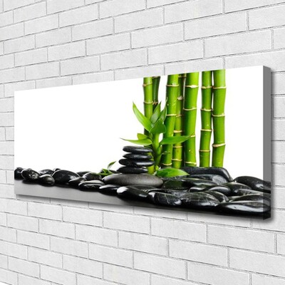 Tablou pe panza canvas Bamboo Pietre Arta Verde Negru