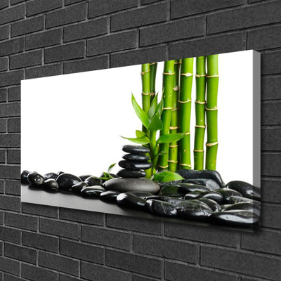 Tablou pe panza canvas Bamboo Pietre Arta Verde Negru