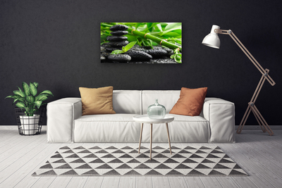Tablou pe panza canvas Bamboo Pietre Floral Verde Negru