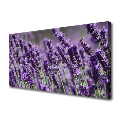 Tablou pe panza canvas Flori Floral violet