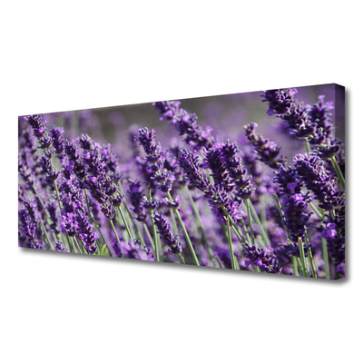 Tablou pe panza canvas Flori Floral violet