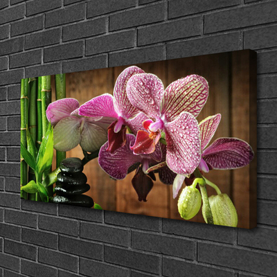 Tablou pe panza canvas Flori de bambus pietre Floral Verde Negru Roz