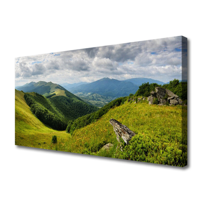 Tablou pe panza canvas Mountain Meadow Peisaj Verde Gri