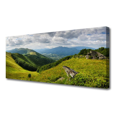 Tablou pe panza canvas Mountain Meadow Peisaj Verde Gri