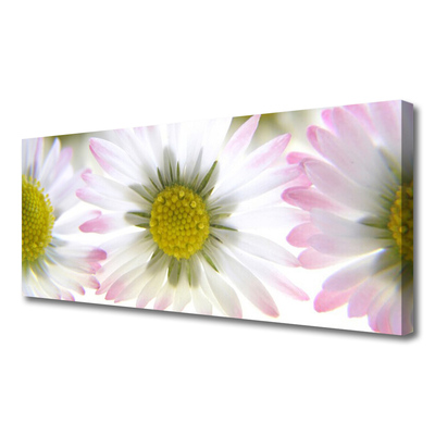 Tablou pe panza canvas Daisy Floral Verde Gri Alb