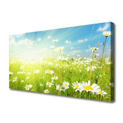 Tablou pe panza canvas Meadow Margarete Natura Verde Alb