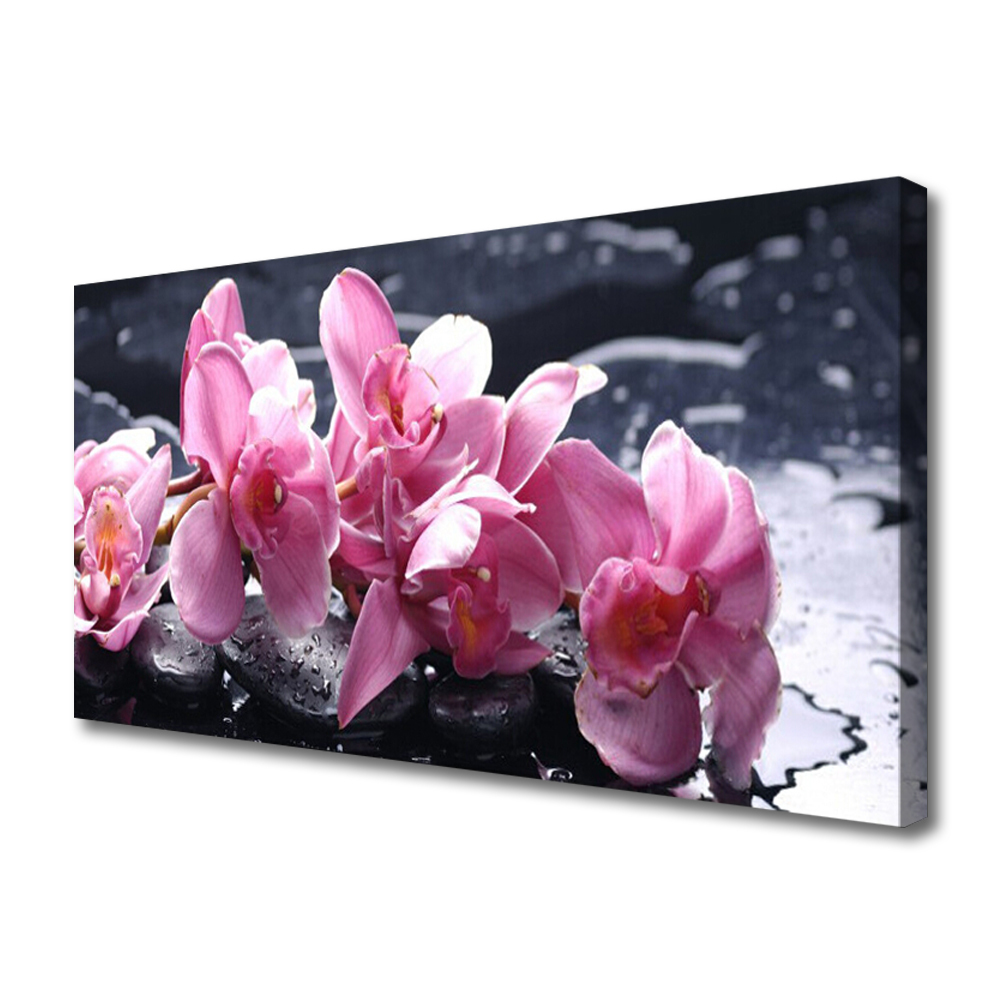 Tablou pe panza canvas Pietrele florale flori roz negru