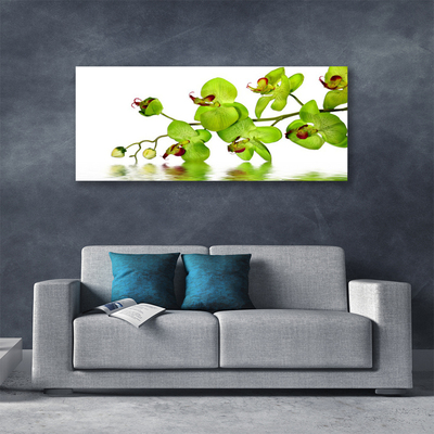 Tablou pe panza canvas Flori Floral Verde