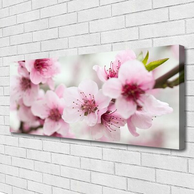 Tablou pe panza canvas Flori roz Floral