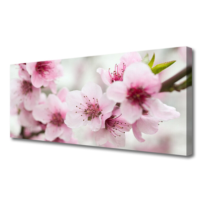 Tablou pe panza canvas Flori roz Floral