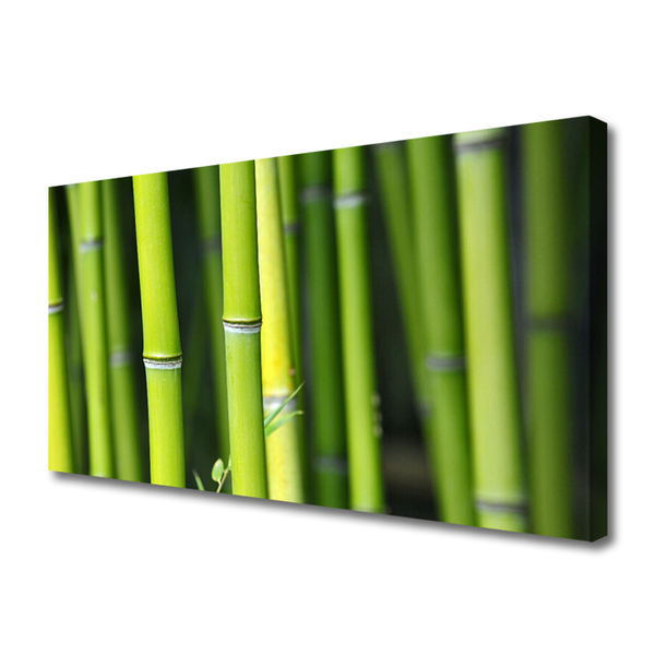 Tablou pe panza canvas Bamboo Natura Verde