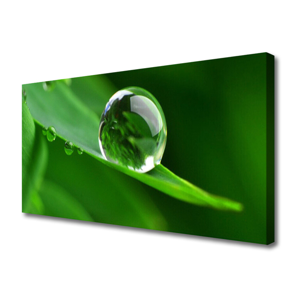 Tablou pe panza canvas Frunze de apă Picături Floral Verde