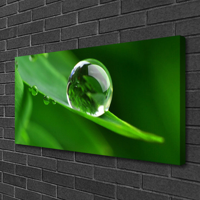 Tablou pe panza canvas Frunze de apă Picături Floral Verde