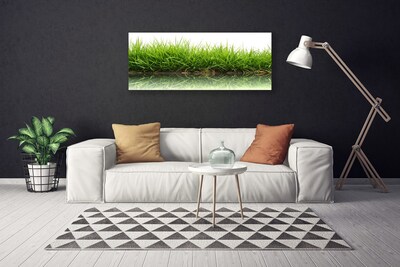 Tablou pe panza canvas Weed Natura verde