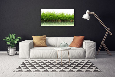 Tablou pe panza canvas Weed Natura verde