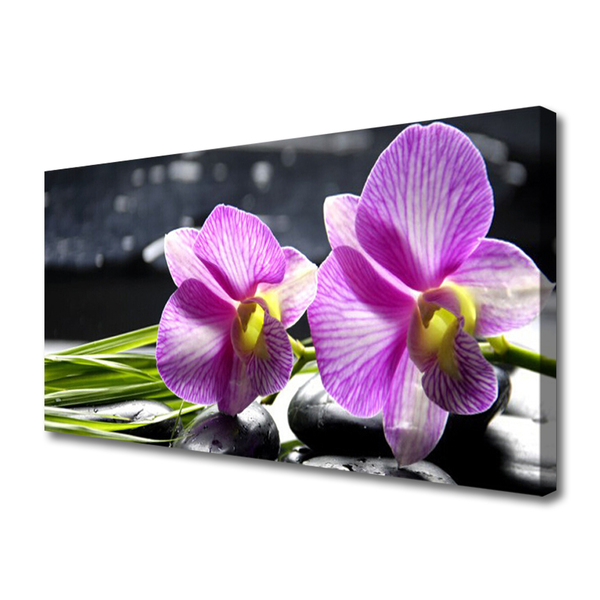 Tablou pe panza canvas Flori roz Floral