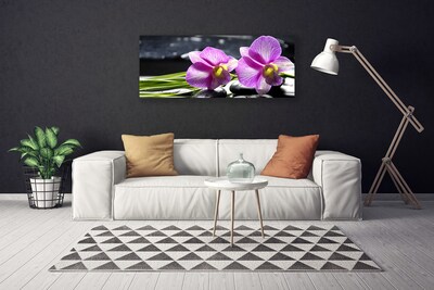 Tablou pe panza canvas Flori roz Floral